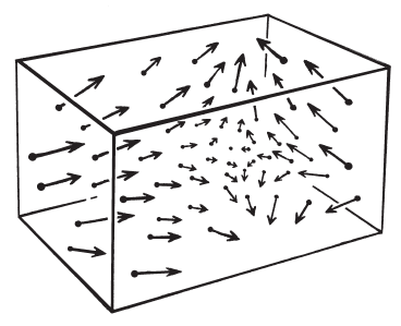 Penrose Diagram of vector fields